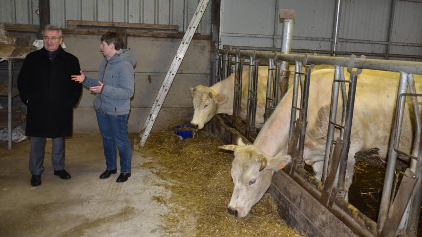 À Libramont, le Cra-w étudie, notamment, la possibilité de conduire un troupeau allaitant de race Blanc Bleu mixte avec engraissement des mâles en agriculture biologique.