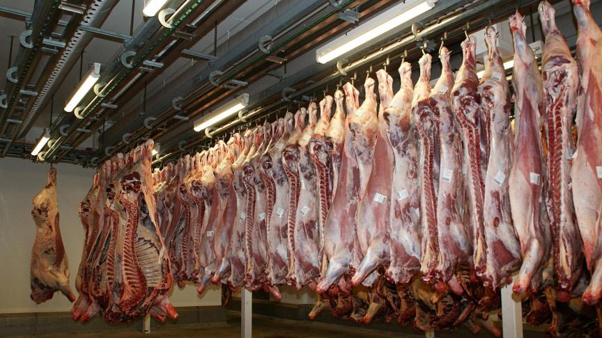 meat-640721_1920
