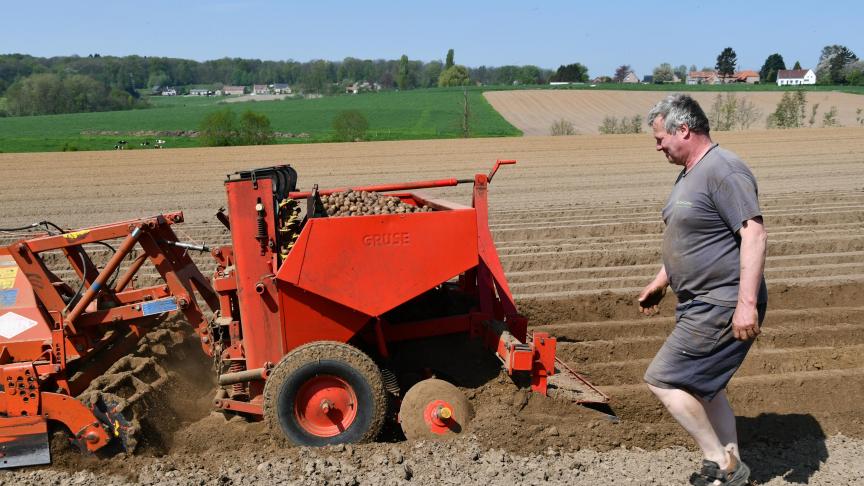 Les plantations ont enfin pu démarrer dans les régions retardées par des pluies. Une opération qui mérite toute l’attention au champ.
