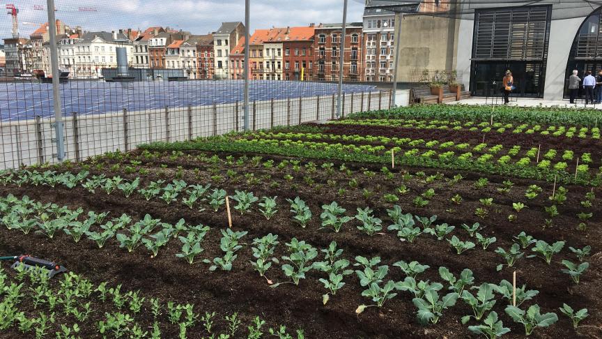 Comment nourrir les villes? Un thème résolument tournée vers l’avenir.