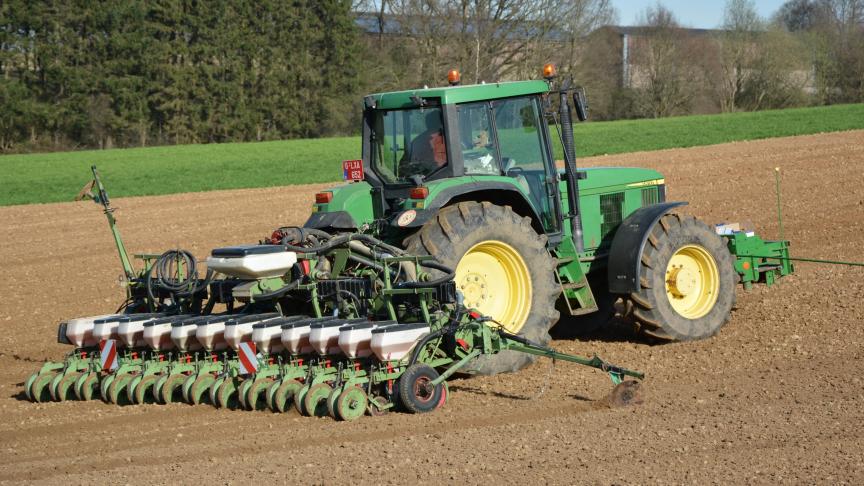 Cette année, l’interdiction des néonicotinoïdes ne posera aucun problème, les semis de betteraves et de chicorés étant terminés. Mais de nombreux planteurs s’interrogent déjà pour 2019...