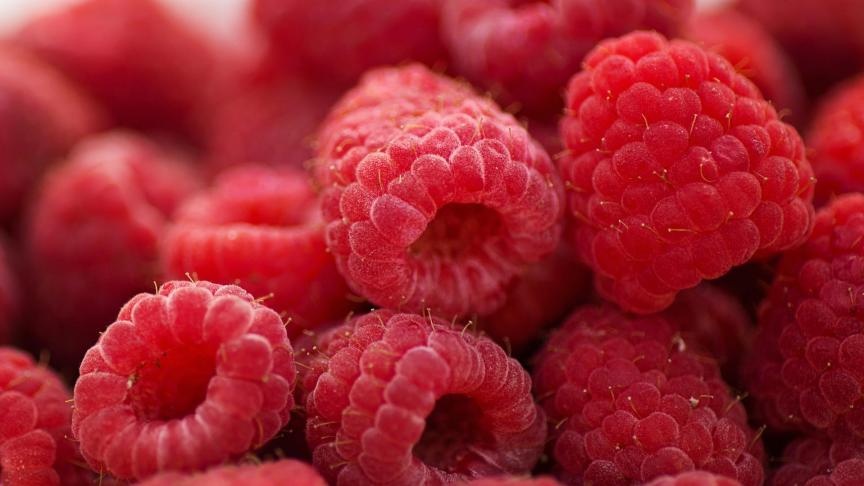 raspberries-2665618_1920
