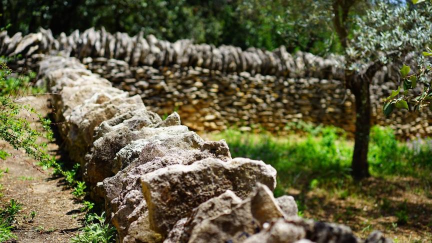La réparation et la reconstruction du mur mitoyen sont à charge de tous les copropriétaires, proportionnellement au droit de chacun, sauf si la reconstruction a été rendue nécessaire par la faute de l'un des copropriétaires.