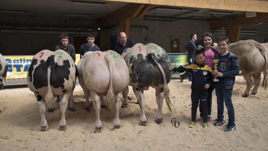 Lot de 1
ers
 prix à Guillaume Frères, Ochamps.