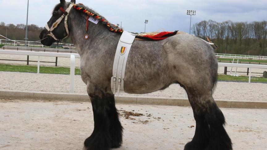 Louise-Marie van‘t Langhof, 1
er
 prix des juments de 6 ans, à Pol Goosse – Mabompré.