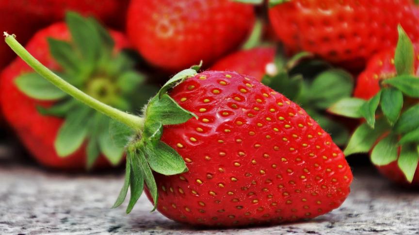 strawberries-3359755_1920