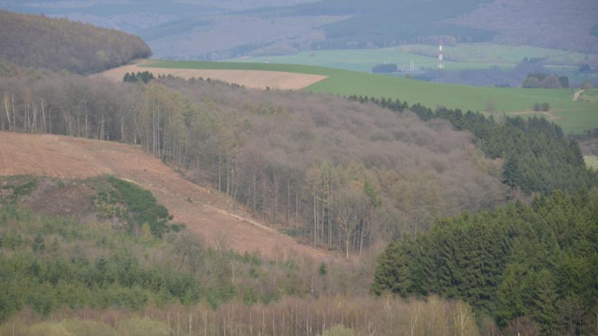Avant d’agir contre l’occupant d’un terrain agricole, il faut d’abord examiner la nature de la convention.