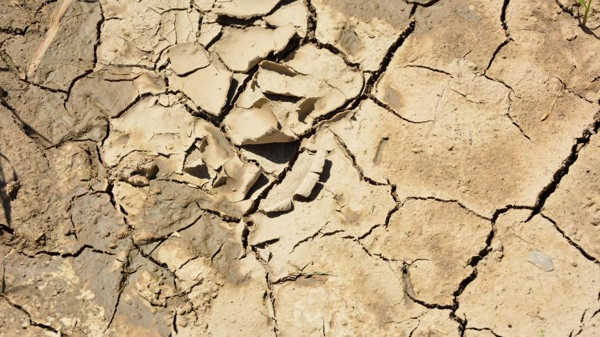Les dégâts causés par cet épisode climatique sont évalués à près de 123
millions.