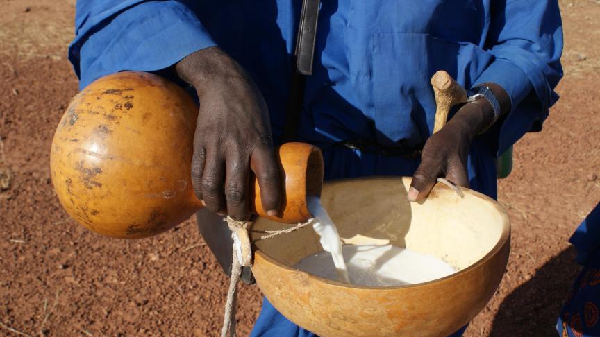 Le lait en Afrique, une si précieuse source de vie!