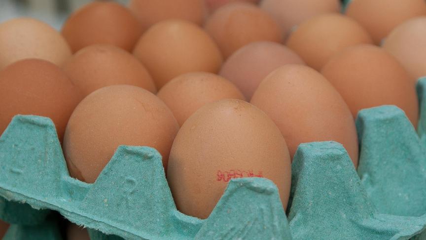 eggs-1887395_1920