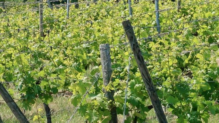 village-3428539_1920