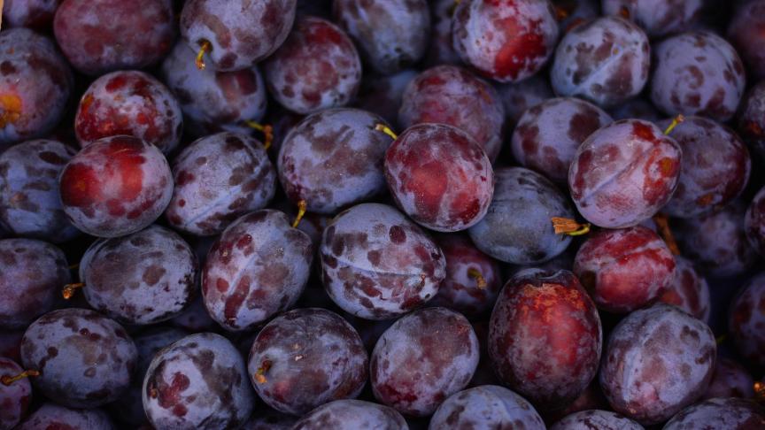 plums-2724160_1920
