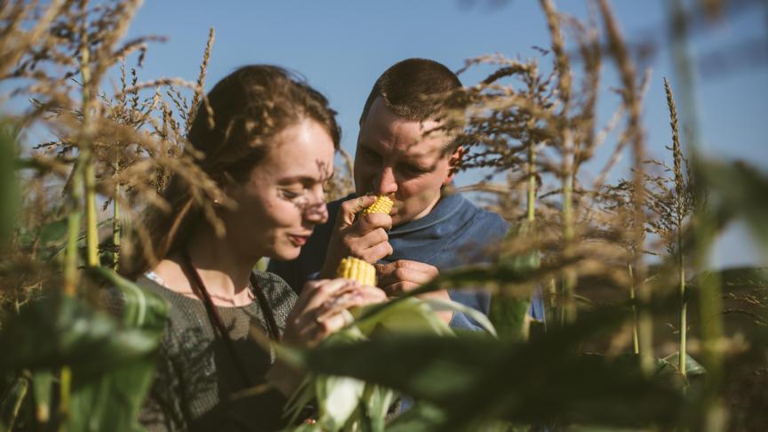 Avec les légumes, le couple a découvert une nouvelle manière de travailler: «On a un contact différent à la terre. On est plus proche du produit, on le voit pousser et on peut le consommer directement. On a un autre relationnel avec notre produit».