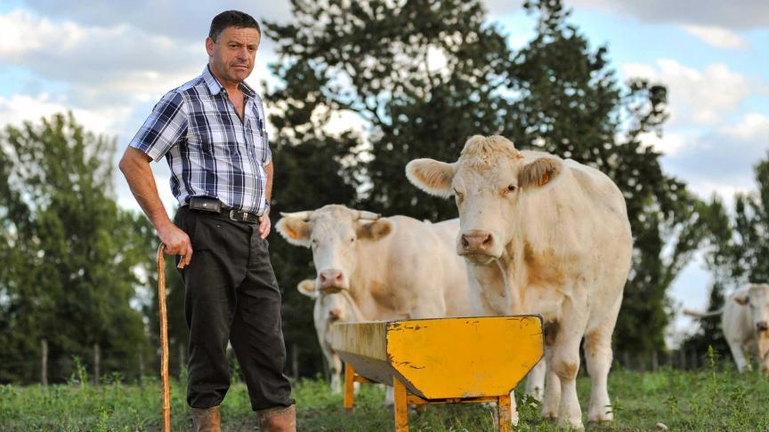 Une majorité des Belges (55%) ont une opinion favorable vis-à-vis des agriculteurs. Ils les estiment  travailleurs, courageux, et sont conscients de la pénibilité du métier et des problèmes rencontrés par les jeunes. Ils s’interrogent également sur le fait qu’ils soient heureux.