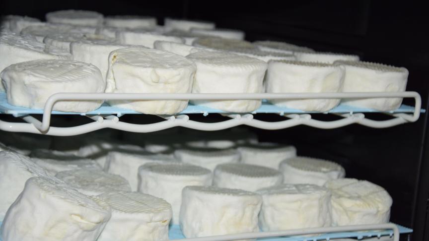 Florence transforme tout le lait produit en fromages frais et affinés qu’elle écoule essentiellement  en vente directe.