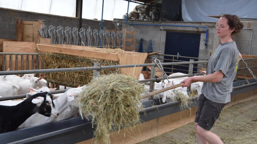 «J’aime expliquer mon métier aux gens, leur montrer ce qu’est une chèvre 'd’élevage'», dit Florence.