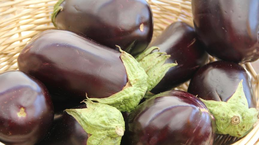 eggplant-237448_1920