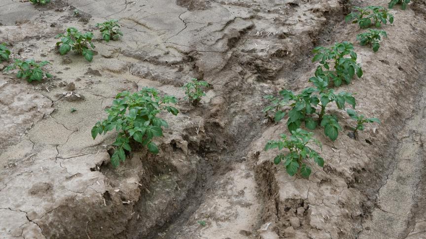 Les orages ont localement fait de gros dégâts. Il convient de bien identifier les plages endommagées.