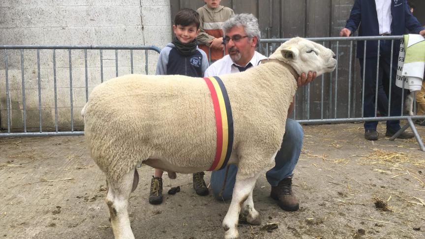 Champion des béliers Texel Français à de Waleffe Thierry.