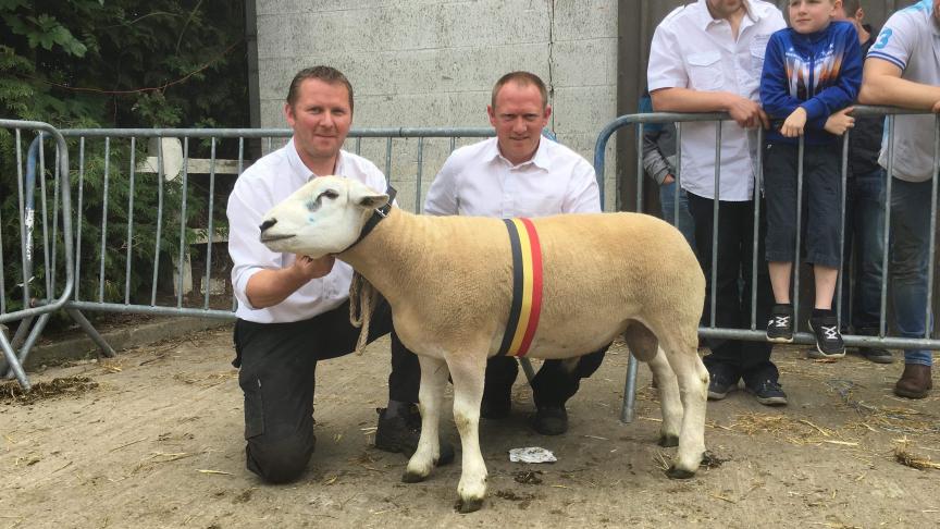 Champion des antenais Texel Français à Simon Vincent.