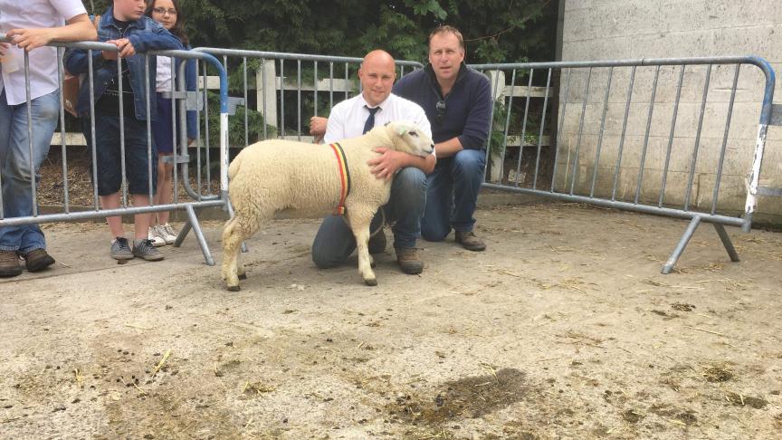 Championne des agnelles Texel Français, à Dardenne Damien.