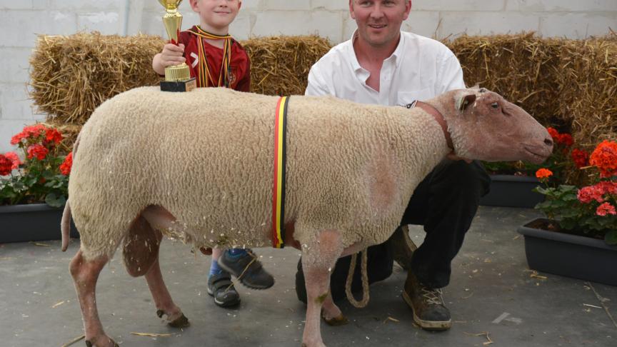 Le champion des béliers Rouge de l’Ouest, à V. Simon.