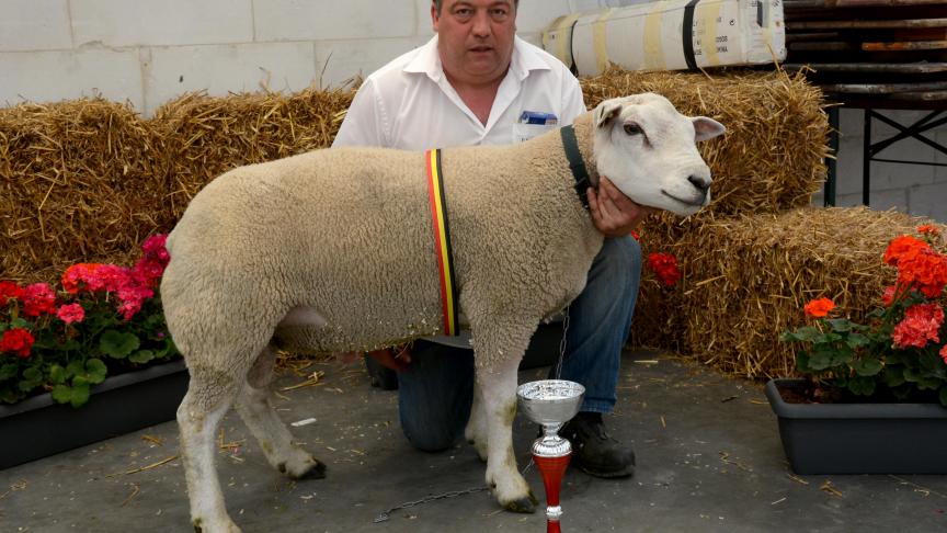 La championne des antenaises Texel français, à J. Derycke.