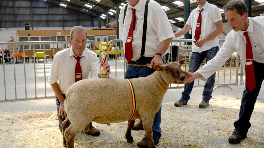 Le champion des antenais Vendéen, à E. Bouffioux.