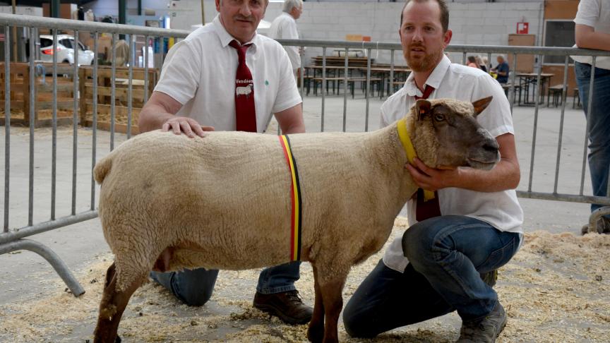 La championne des brebis Vendéen, à D. Lesenfants.
