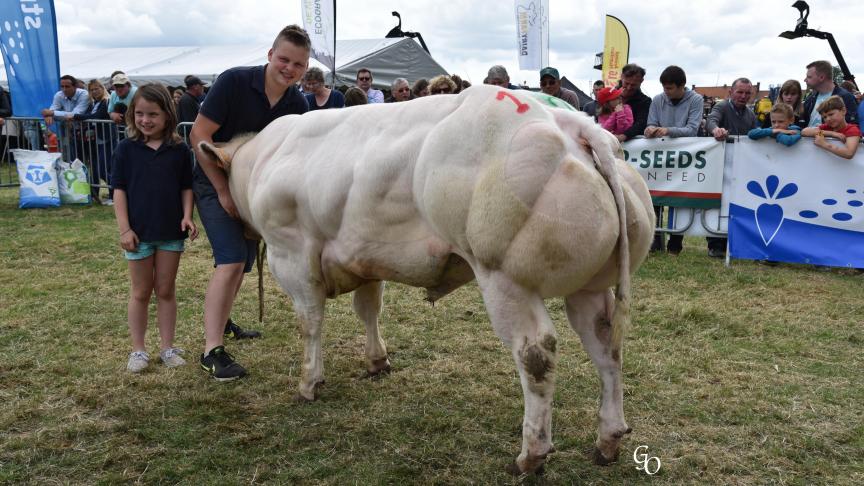 As de Pic du Blanc Dos (Vidal X Lasso), 1 er  prix des taureaux de 10 à 18 mois, à Laurent Decock.