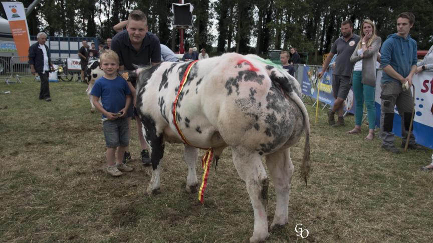 Arbricot du Blanc Dos (Shériff X Galaxi), champion des veaux mâles, à Laurent Decock.