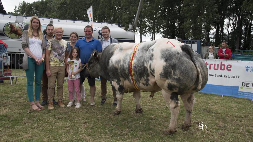 Amical de l'Orgelot (Cappuccino X Adajio), champion des vieux taureaux – super champion, à Myriam Liagre & Mathieu Sory.