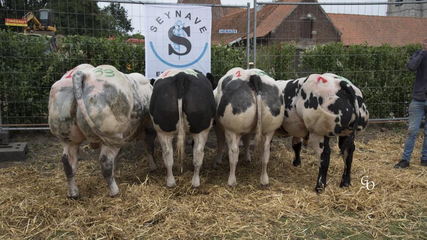 Lot de 1 ers  prix à Serge Lempereur.