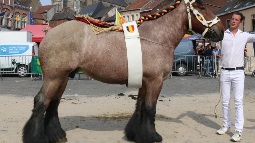 Lady van ‘t Yzerhof, 1 er  prix des juments de 6ans et +, à.Philippe De Jaeger.