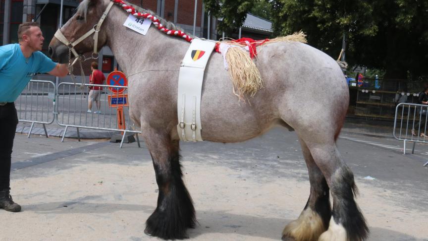 Lady van ‘t Yzerhof, 1 er  prix des juments de 6ans et +, à.Philippe De Jaeger.