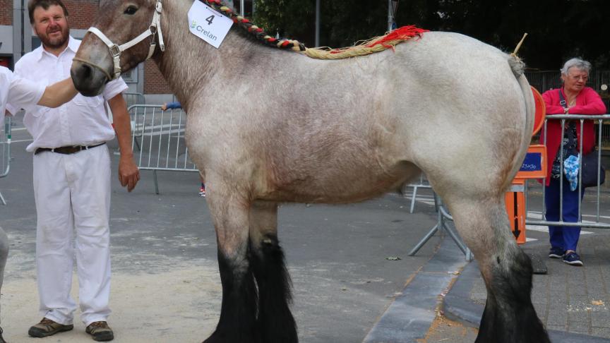 Nala de Guignies, 1 er  prix des pouliches d’1an basse taille, à Noel Chantry.