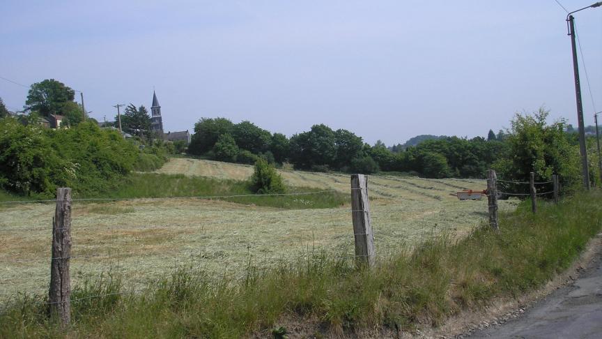 Les prairies naturelles constituent des zones refuges pour la faune et la flore sauvage.