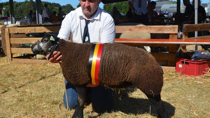 Bleuagneellechamp: La championne des agnelles Texel bleu à A. Roose.