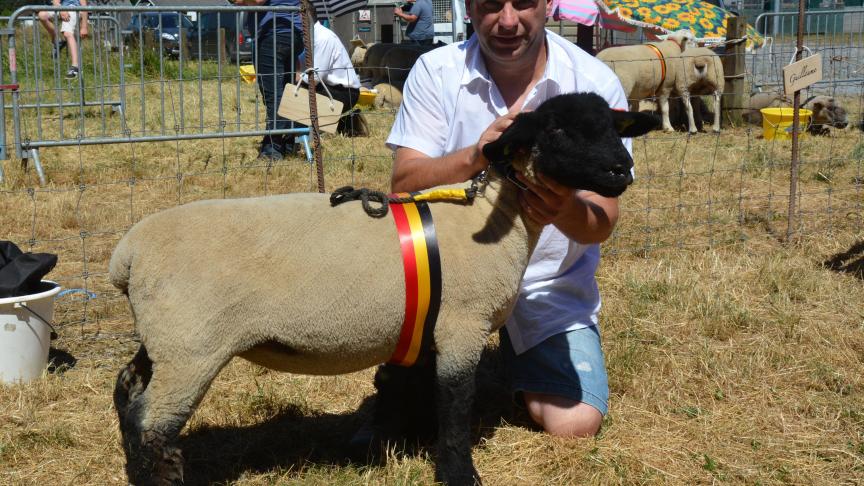 La championne des agnelles Suffolk à Ch. Storder.