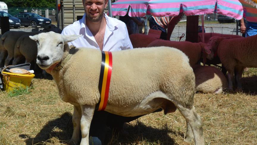 La championne des brebis Texel français à S. Maron.