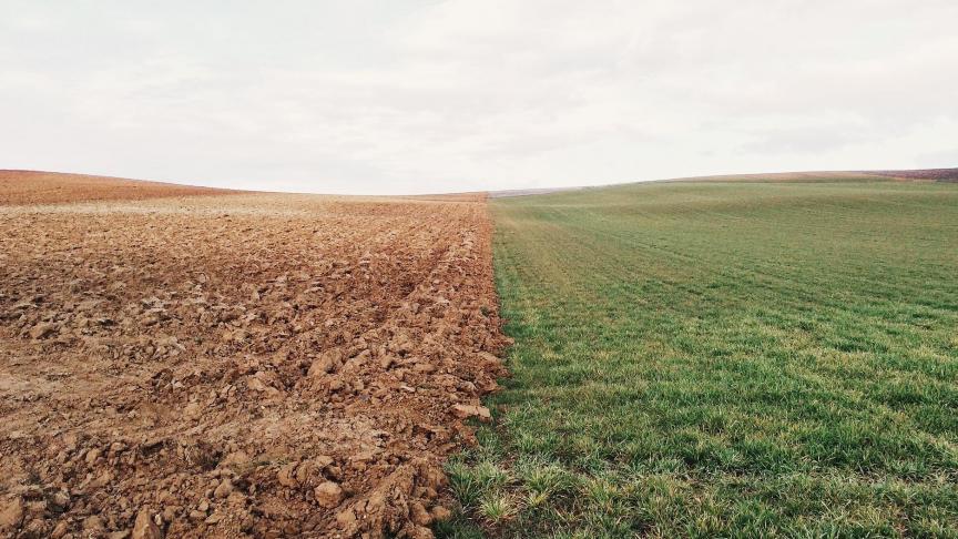 farmland-801817_1920