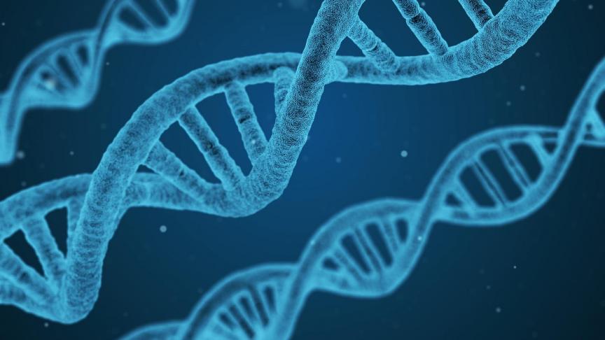 dna-1811955_1920