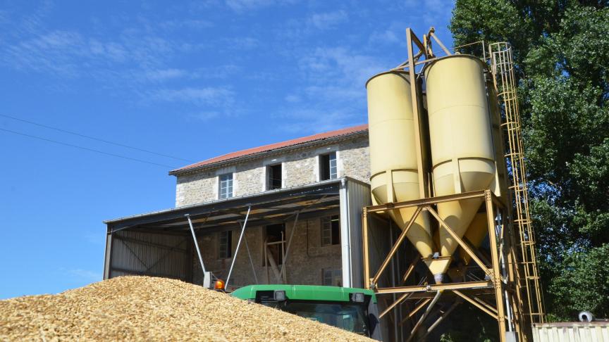 Vu le contexte général de cette dernière campagne céréalière et les prix sur Euronext, l’expert «hexagonal» ODA mise sur une sortie de la période de dépression des prix qu’a subi le blé depuis 4 ans.