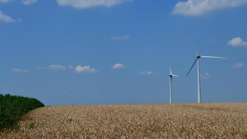 Les productions de blé et d’orge s’affichent nettement à la baisse par rapport aux prévisions dans l’UE et la CEI.