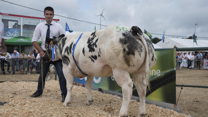 Hotesse du Fond de Bois (Januzaj X Attribut), 1 er  prix des génisses de 12 à 32 mois,  à Jean-Pierre Monfort, Les Avins.