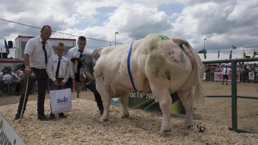 Benevole de Fooz (Banjo X Attribut), 1 er prix des taureaux de 15 mois et +, à Guy Vanderbecq, Thieu.