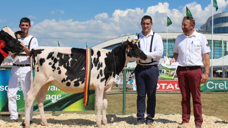 Champ Génisse