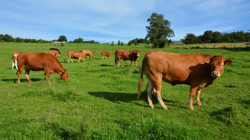Si une large majorité d’agriculteurs dit vouloir accroître la durabilité de leur exploitation, ils ne sont qu’un tiers à savoir comment y parvenir.