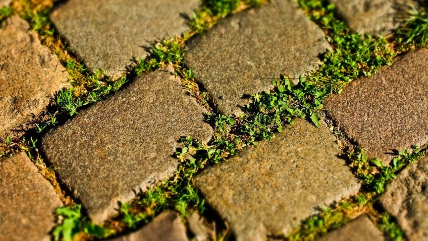 cobblestone-3455163_1920