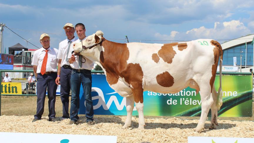 Levée, Meilleure mamelle jeune, à Philippe Counasse de Chevron.